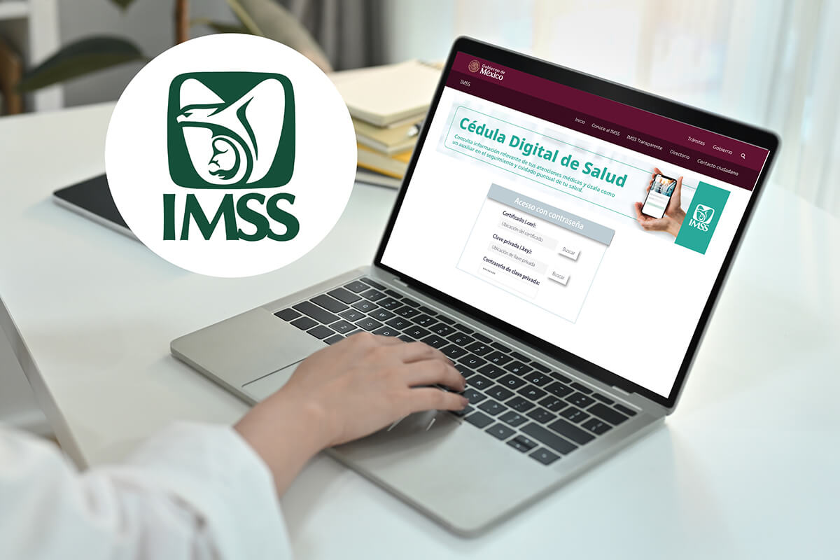 E.firma patronal 2026: riesgos, fechas clave y obligaciones ante el IMSS