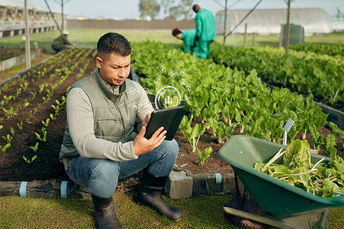Finanzas sustentables: transición hacia la agricultura regenerativa